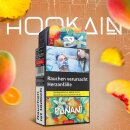 Hookain - Punani 25g