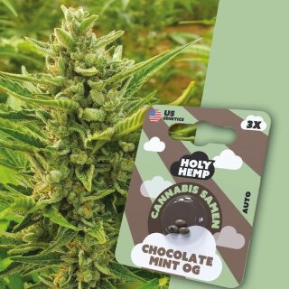 Holy Hemp - Chocolate Mint (3x)