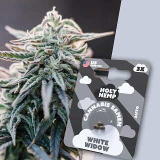 Holy Hemp - White Widow (3x)