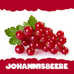 Johannisbeere